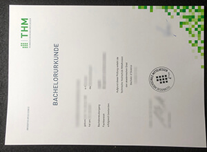 Where can I order a realistic Technische Hochschule Mittelhessen (THM) degree??
