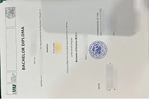 Universität München Bachelor Diploma