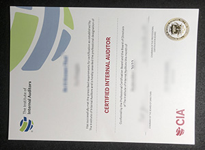 Certified Internal Auditor (CIA) certificate