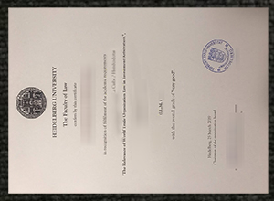 Heidelberg University diploma