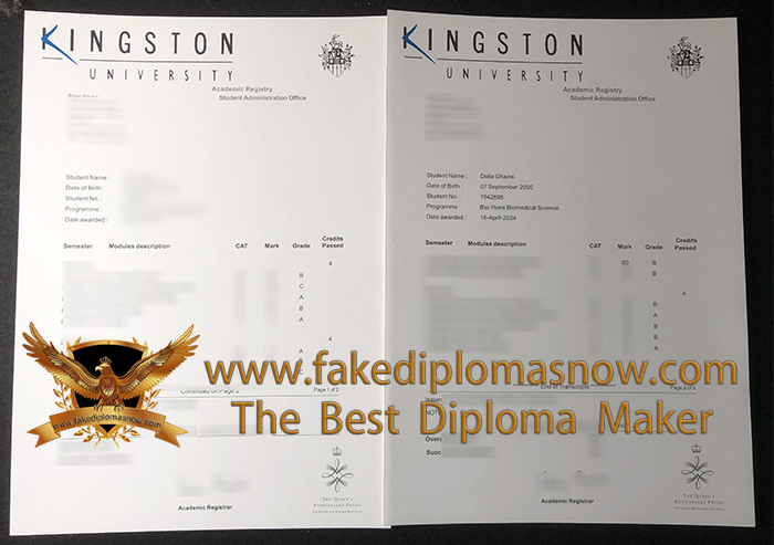 Kingston University Transcript