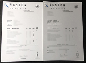 Kingston University Transcript