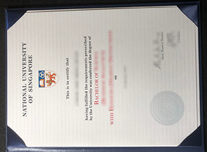 National University of Singapore degree certificate