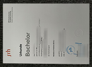 SRH Heidelberg diploma certificate