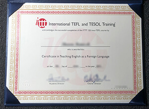 TEFL (Teaching English as a Foreign Language) certificate