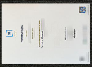 BI Norwegian Business School diploma certificate