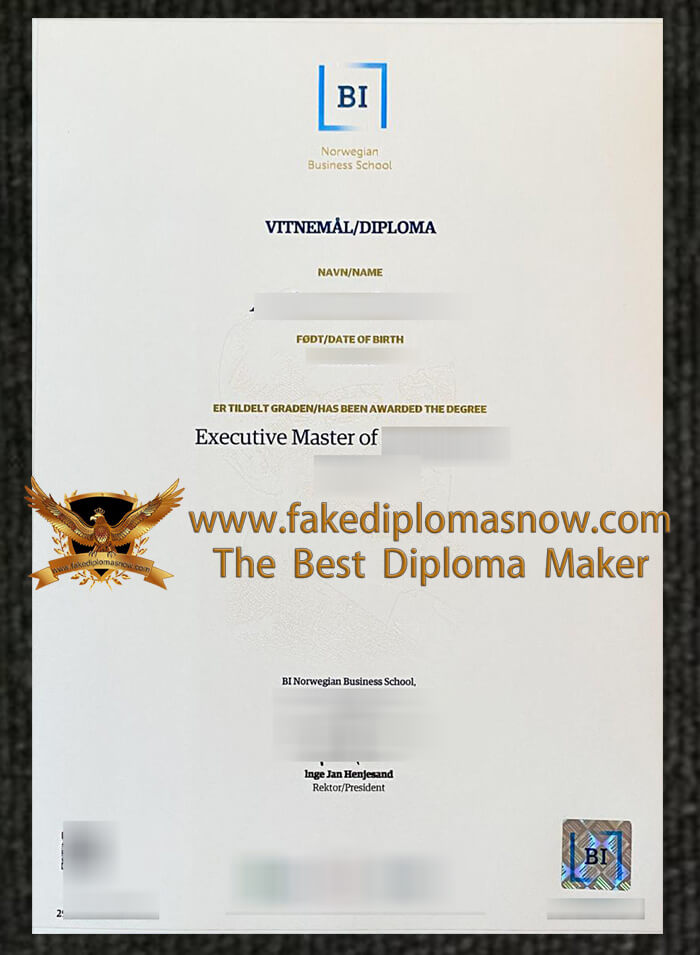 BI Norwegian Business School diploma