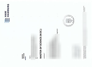 HAW Hamburg Degree