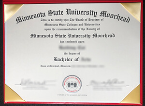 MSUM Diploma