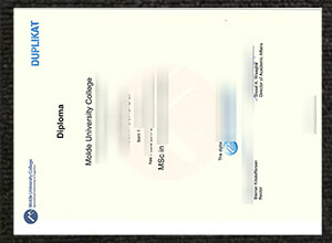 Molde University College diploma certificate