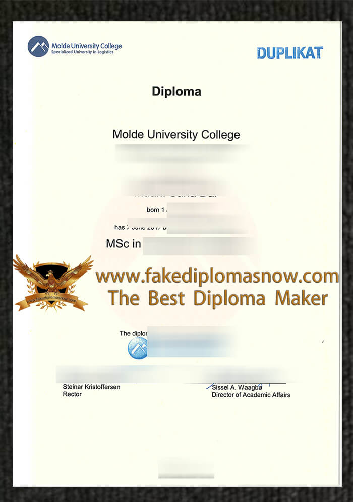 Molde University College diploma