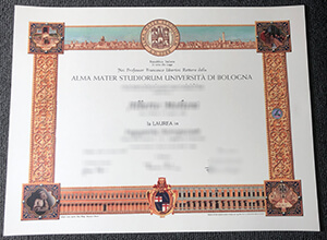 Università di Bologna Diploma certificate
