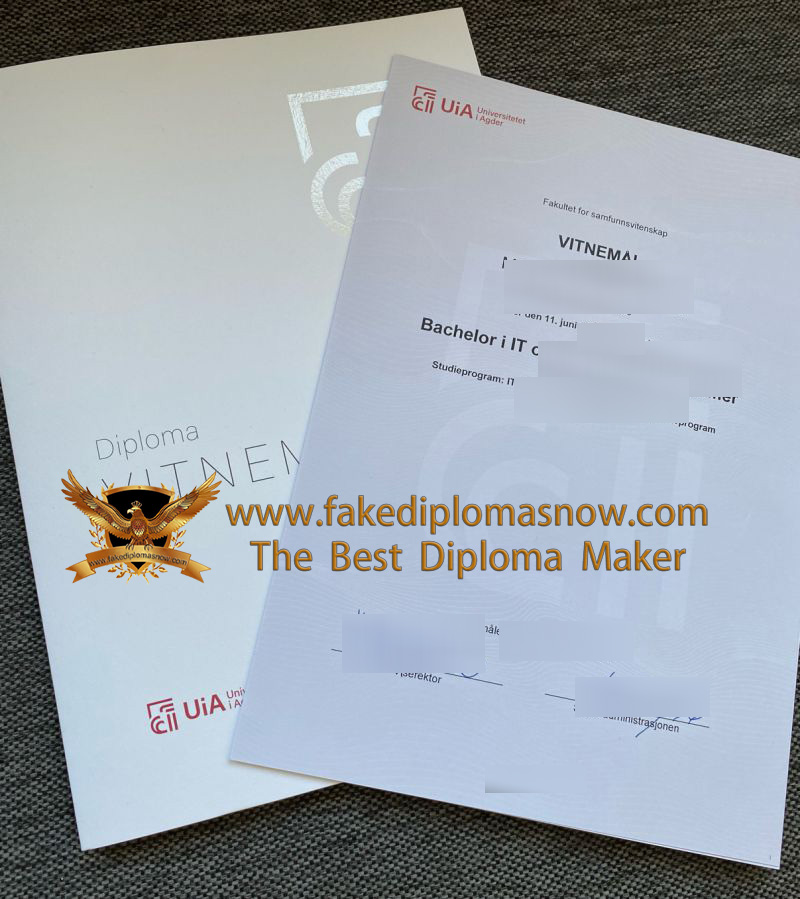 University of Agder diploma University of Agder diploma