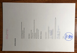 University of Kassel diploma certificate
