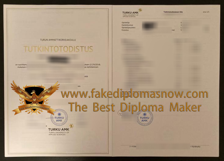 University of Turku degree and transcript