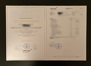 University of Turku degree and transcript