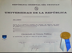 University of the Republic diploma