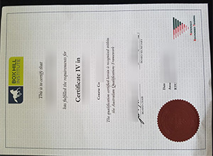 Box Hill Institute Certificate