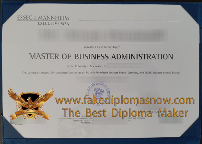 ESSEC & Mannheim Executive MBA Diploma