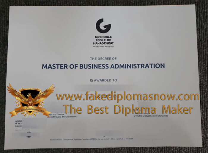 Grenoble School of Management degree