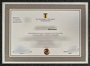 Istanbul Commerce University fake diploma