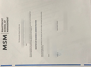 Maastricht School of Management diploma certificte
