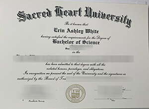 Sacred Heart University Diploma