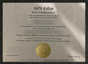 TriOS College Diploma sample