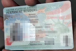 United States Green Card sample