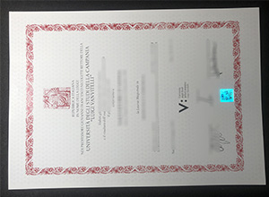 Order a fake University of Campania Luigi Vanvitelli diploma