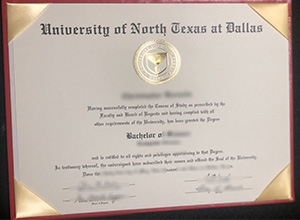 UNTD diploma