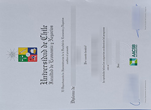 Universidad De Chile Diploma certificate