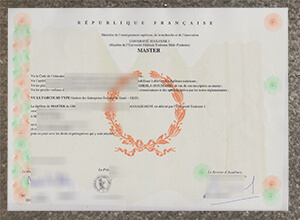 Université Toulouse 1 Degree certificate