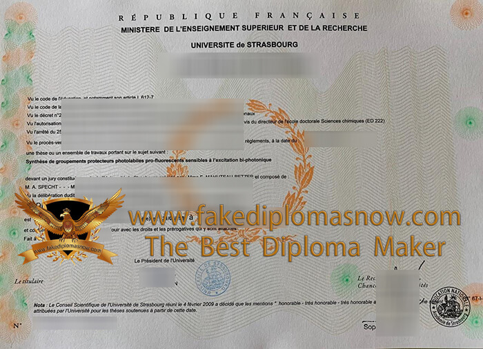 Université de Strasbourg Diploma Université de Strasbourg Diploma