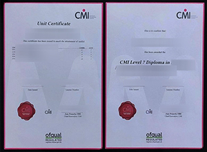 CMI Level 7 Diploma with transcript sample