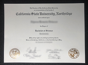 Cal State Northridge Diploma