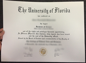 University Of Florida Diploma certificate