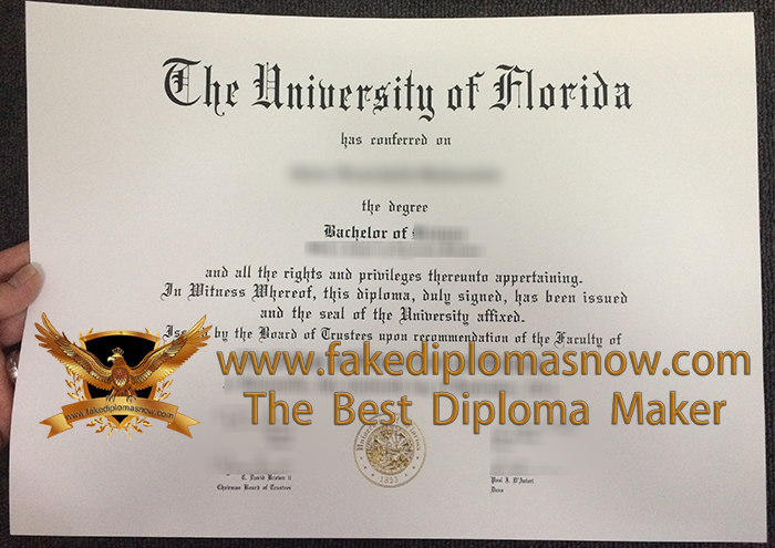 University Of Florida Diploma