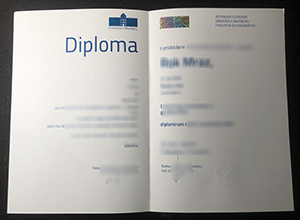 Univerza v Mariboru diploma certificate