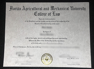 FAMU College of Law diploma certificate