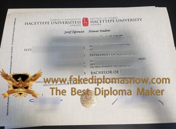 Buy a realistic Hacettepe University diploma in Turkey