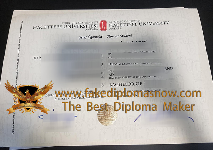 Hacettepe University diploma certificate