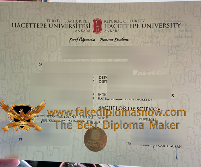 Hacettepe University diploma Hacettepe University diploma