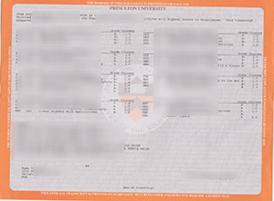 Princeton University official transcript sample