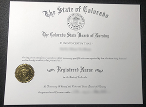 State of Colorado Registered Nurse Certificate sample