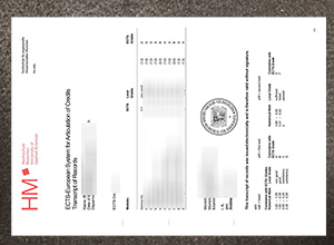 Hochschule München transcript sample