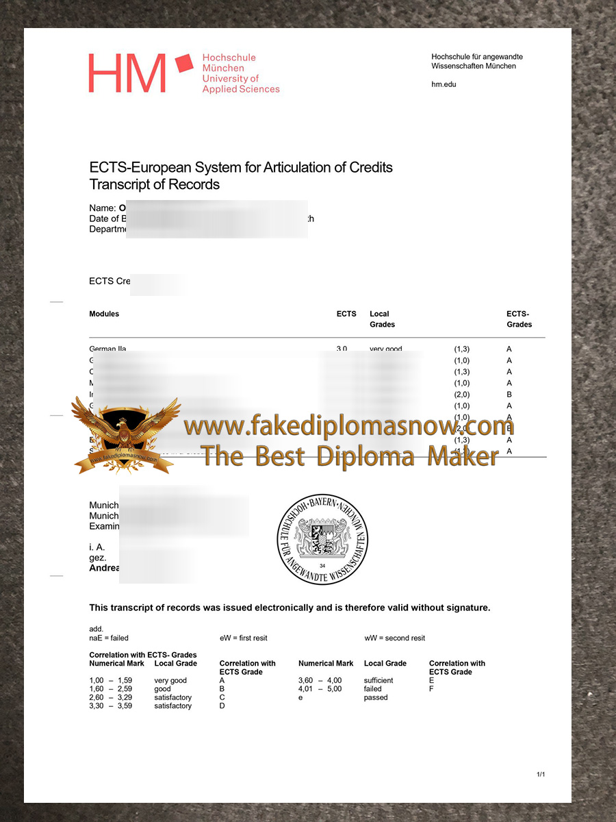 Hochschule München transcript