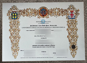 University of Modena and Reggio Emilia Degree