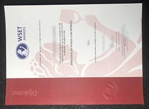 Wset diploma certificate