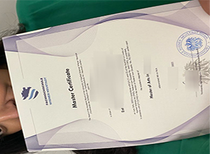 Fachhochschule Wiener Neustadt diploma certificate
